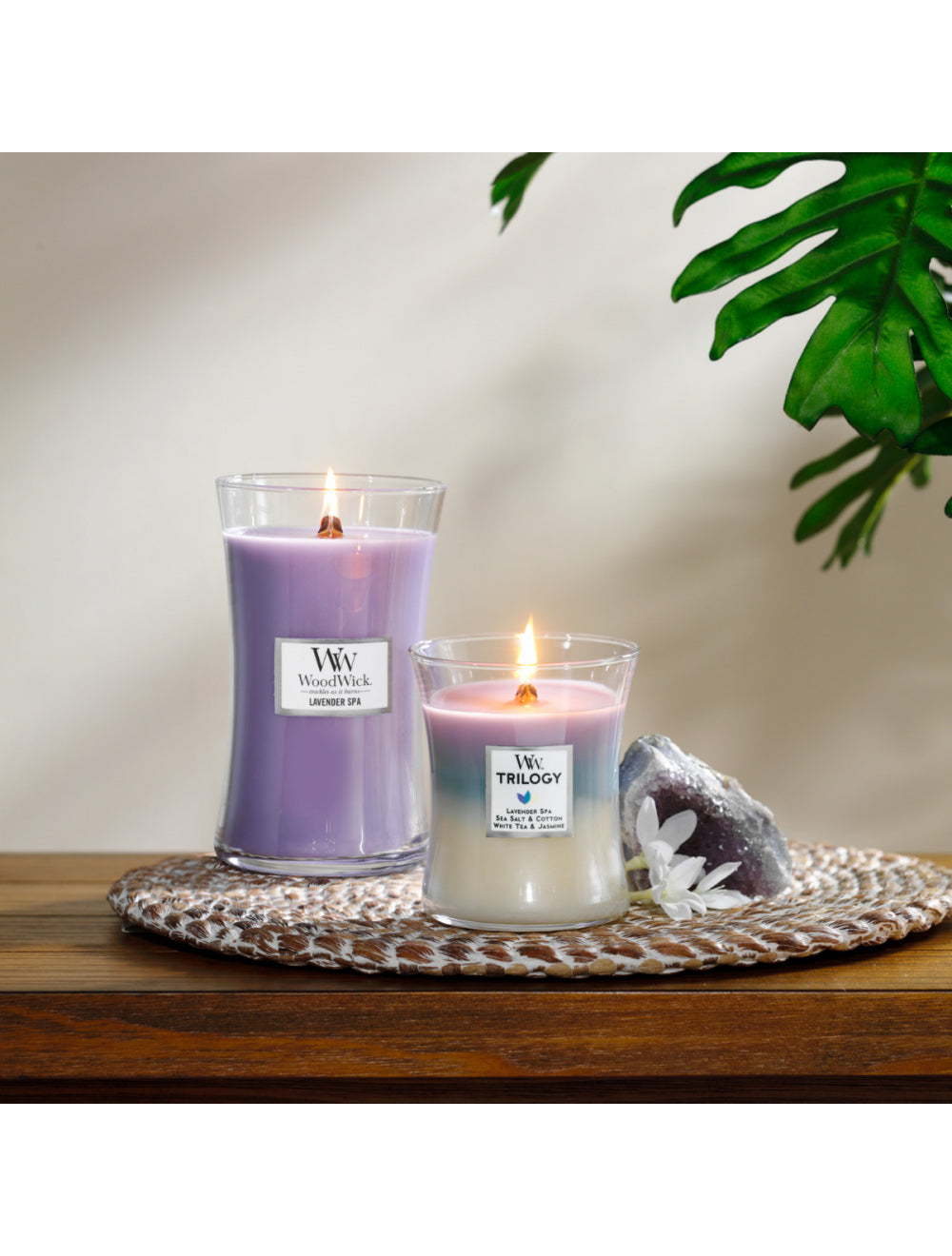 Buy Wood Wick Candles Online Australia