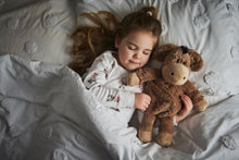 Load image into Gallery viewer, Donkey Warmie-Gift a Little gift shop