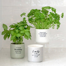 Load image into Gallery viewer, Family Positive Pot - Family is the greatest gift of all-Pots &amp; Planters-Gift a Little gift shop