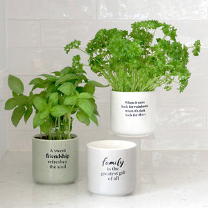 Family Positive Pot - Family is the greatest gift of all-Pots & Planters-Gift a Little gift shop