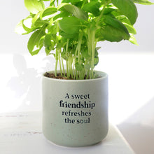 Load image into Gallery viewer, Friendship Positive Pot - A Sweet Friendship Refreshes The Soul-Pots &amp; Planters-Gift a Little gift shop
