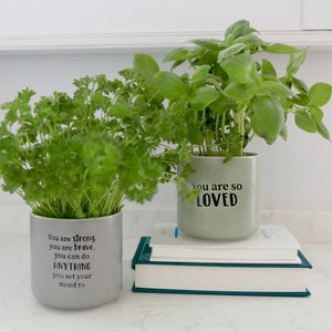 Loved Positive Pot - You Are So Loved-Pots & Planters-Gift a Little gift shop