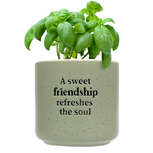 Friendship Positive Pot - A Sweet Friendship Refreshes The Soul-Pots & Planters-Gift a Little gift shop